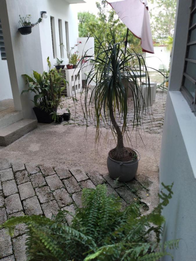 Departamentos De La Reina Roja Apartment