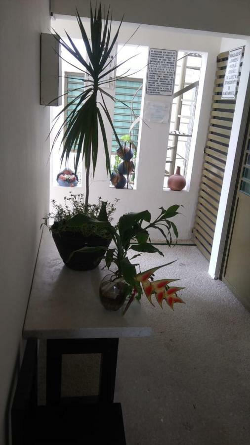 Departamentos De La Reina Roja Apartment *