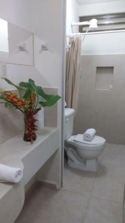 Departamentos De La Reina Roja Palenque
